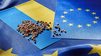 Нацбанк оцінив втрати через припинення «торговельного безвізу» з ЄС у $800 млн
