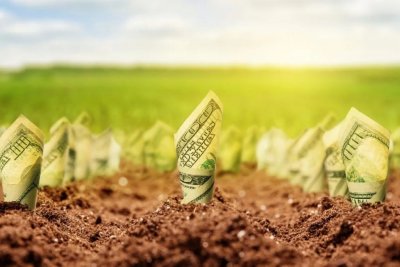Землю смогут купить только физлица и не более 100 га