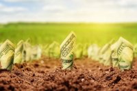 Землю смогут купить только физлица и не более 100 га