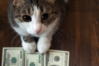 До конца года Минфин лишь один раз разместит долларовые ОВГЗ