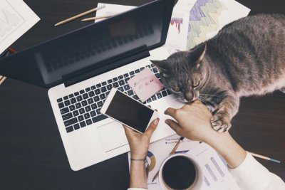 Банки перешли на гибридный формат работы