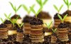 Круглый стол «Инструменты финансирования малых и средних агропроизводителей: актуальное состояние и перспективы»