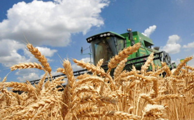 Аграрії з прифронтових і деокупованих територій отримали понад 2 млрд грн допомоги від держави