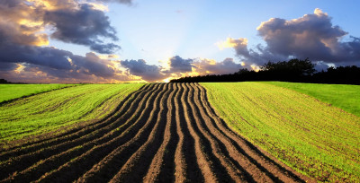 Зеленський підписав закон про продовження терміну приватизації земельних паїв