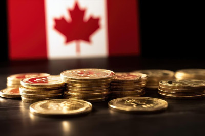 Україна вивчає досвід фінансової розвідки Канади у протидії відмиванню коштів