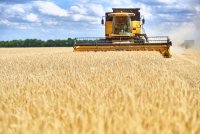 Аграріям пропонують нову програму гарантій страхування врожаю