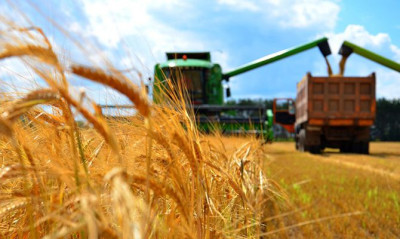 Виробництво агропродукції в Україні скоротилося на 8,4%