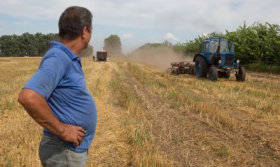 Украинские аграрии оформили расписок на 4 млрд грн