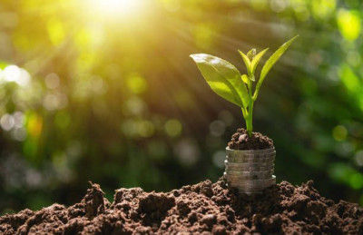 Держава компенсує до 60% вартості агрострахування у прифронтових регіонах