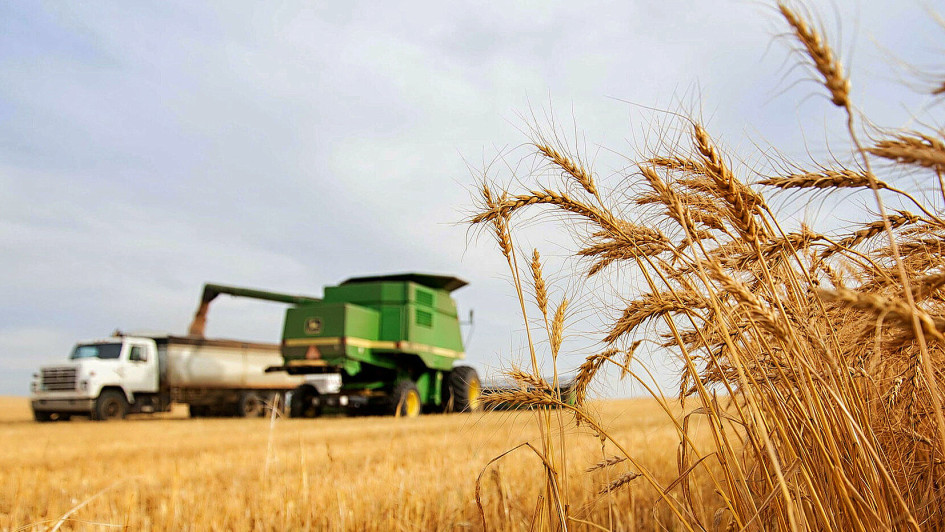 Уряд запускає державну підтримку страхування агропродукції