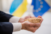 Аграрний експорт до ЄС може зупинитися за 2-3 місяці