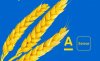 Альфа-Банк Україна прокредитував агропромхолдинг «Астарта-Київ» на 200 млн грн