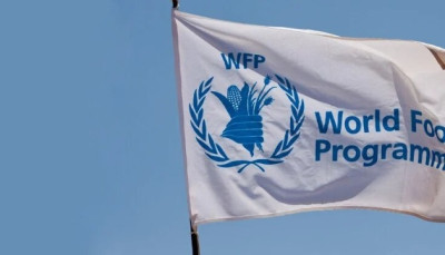 Продовольча програма ООН затвердила трирічний план для України на $2,1 млрд