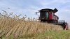 Україна імпортувала агропродукції за рік на $7,1 млрд