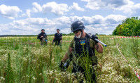 Хто гальмує розмінування