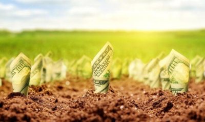Банки переманивают аграриев дешевым рефинансированием