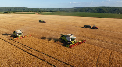 Аграрії зібрали 41,7 млн тонн зернових і 16,9 млн тонн олійних культур