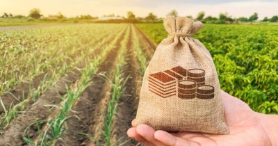 Аукціони «Земельного банку» за місяць принесли до бюджету 35 млн грн