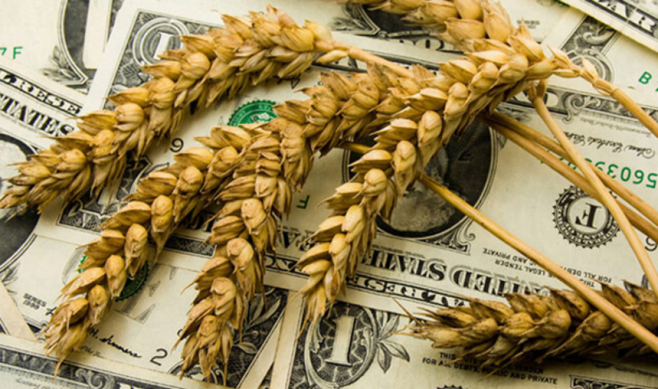 Україна з початку року відкрила 17 нових ринків для експорту агропродукції