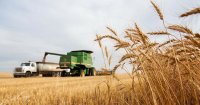ЄC продовжив часткову заборону імпорту української агропродукції в 5 країн