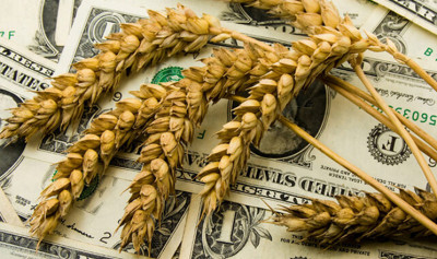 Торгівля агропродукцією між Україною та ЄС сягнула рекордного обсягу