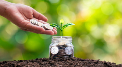 Фінкомітет Ради схвалив 2 законопроєкти про пільги за інвестиції у переробку