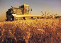 Аграрии избавляются от страха за урожай