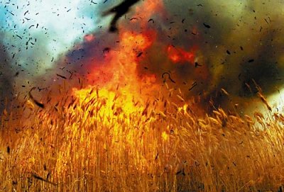 7 депутатов предлагают лишить бюджет 38% денег