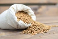 ЄБРР розробляє проєкт зі страхування вантажів на території України