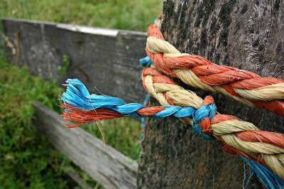Процентную ставку привязали к инфляции