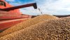 ЄС підвищить з 1 липня мита на російську та білоруську зернову та олійну продукцію