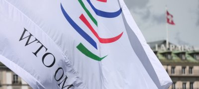 СОТ оприлюднила запит України щодо зернової суперечки