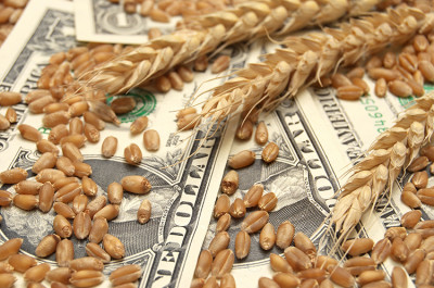 Україна планує розширити аграрний експорт до США