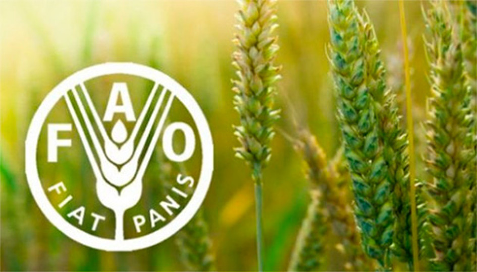 Україну обрали до Ради Продовольчої організації ООН