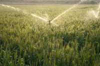 Рада ухвалила закон про державних операторів меліоративних систем