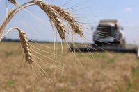 Аграрії отримали пільгових кредитів на 62 млрд грн