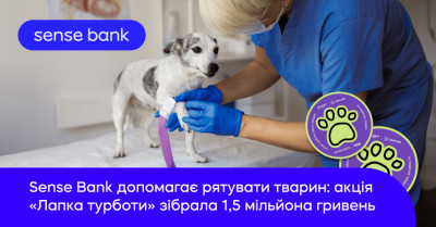 Акція «Лапка турботи» зібрала 1,5 мільйона гривень для порятунку тварин у прифронтових регіонах