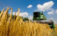 Кредитний портфель банків в агросекторі збільшився на 52%