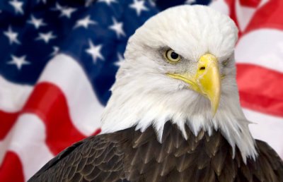Экс-владельцы ПриватБанка должны возместить его убытки — США