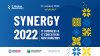 SYNERGY 2022 IT BUSINESS &amp; IT EDUCATION: NEW HORIZONS
