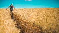Круглий стіл «Відкриття ринку землі – нові можливості для банків»