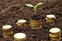 Банки видали пільгових кредитів бізнесу ще на 700 млн грн