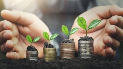 Уряд невдовзі поновить програму пільгових агрокредитів