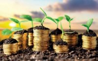 В Україні з'явиться Фонд гарантування кредитів для аграріїв