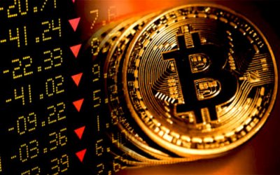 Bitcoin Cash рухнул сегодня почти вдвое