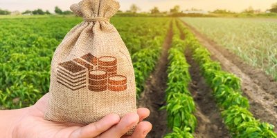 Ощадбанк щодня кредитує аграріїв на 200 млн грн