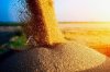 Уряд пропонує скасувати обов’язкове страхування зерна