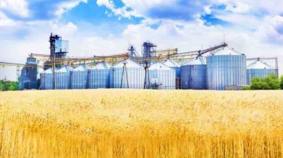 Україна завершила маркетинговий рік незначним зростанням експорту зернових